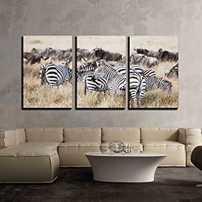 Herd of Wildebeest and Zebra Grazing Together on...