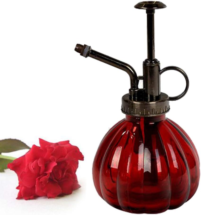 Bemodst® 1 PC Glass Watering Can Pot Vintage Plant Mister