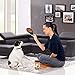 Full-Size Cow Hooves for Dogs (25 Pack) | All-Natural Long Lasting Dog Chews | Made from Grass Fed Cattle | Tasty Treat for Oral Hygiene | Fantastic Alternative for Rawhide and Bully Sticks