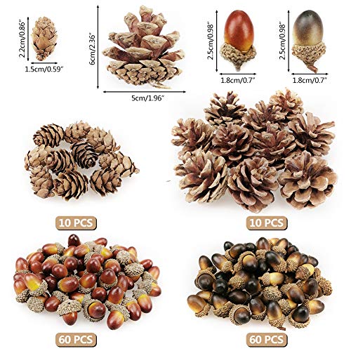HANGNUO 140PCS Natural Pine Cones and Artificial Acorns for Crafts Ornaments Fall Thanksgiving Christmas Vase Filler Farm House Decoration