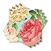 Blissful Blooms Napkin Floral Garden Party Tableware, 36 Pieces, Made from Paper by Amscan