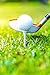 AckBrands MeasureTees Golf Tees - 2 3/4 3 1/4 Inch - Wood (100 Pack) Plastic (30 Nearly Unbreakable) P3