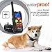 Shock Collar for Dogs - Dog Training Collar with Remote Control 1000 feet - Rechargeable and Waterproof Electric Collar for Large Medium Small Dogs