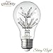 Lumenty A19 Starry Night 3W Decorative LED Light Bulb - Fireworks Design E26 Base - Vintage Edison Style Bulbs for Pendant Lighting - Romantic Warm White 2300K - Dimmable