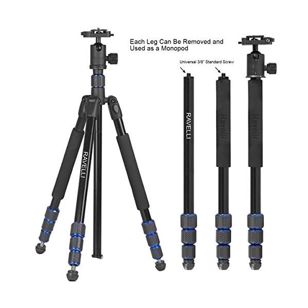 Ravelli APGL5 Digitale Film/Kameras Schwarz Stativ - Stative (Digitale Film/Kameras, 7,711 kg, 3 Bein(e), 167 cm… – Bild 4
