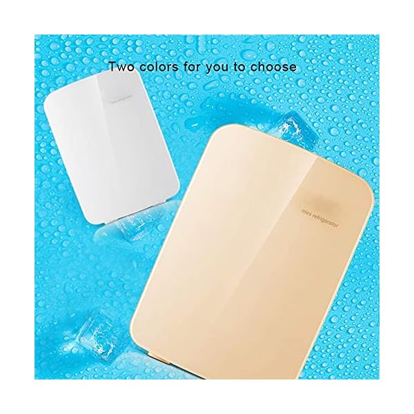 YANJ Portable Mini Fridge 12v 220v,Electric Cool Box Car refrigerator,Home And Car Dual Use Refrigeration And Heating Dual Use 18L Capacity 220V/12V LOLDF1