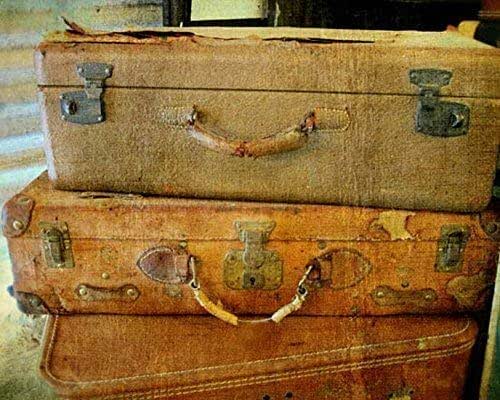 vintage luggage amazon