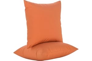 JMGBird Outdoor Pillows Set of 2 Outdoor Throw Pillows Waterproof with Insert 18×18 Inch Outdoor Pillow for Patio Furniture