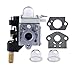 Hipa RB-K75 Carburetor with Gasket Primer Bulb for Echo GT200 GT200i GT200R GT201i SRM210 SRM210i SRM210U SRM211 SRM211i SRM211U Trimmer HC200 HC201 PE200 PE201 PPF210 PPF211 Pole Pruner