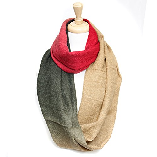 Plum Feathers Bright Color Ombre Infinity Scarf (Burgundy-Grey)