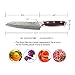 WALLOP Santoku Knife - Japanese AUS-10 Core 67 Layers Damascus High Carbon Stainless Steel Kitchen Knife with Hammered Pattern Blade & Non-slip Ergonomic G10 Handle with Knife Sheath - 7''