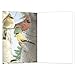 Tree-Free Greetings EcoNotes 12 Count Favorite Songbirds All Occasion Notecard Set with Envelopes, 4 x 6 Inches (FS66507)