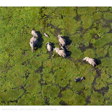 Armand Amar - Vu du Ciel - Zortam Music