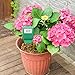 Atree Soil Moisture Meter, Plant Moisture Meter, Plant Water Meter, Hygrometer Moisture Sensor for Garden, Farm, Lawn, Indoor & Outdoor (No Battery Needed)