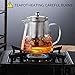 Glass Teapot Tea Kettle - OBOR Borosilicate Stovetop Safe Small Tea Maker with Removable Infuser for Blooming and Loose Leaf - 450ML/15oz ...