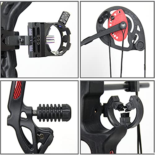 Archery Compound Bow and Arrow for Beginner and Youth，Bowfishing and