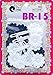 Tara Girls Self Hinge Plastic Flower Hair Barrettes 18 Pieces Selection (Blue White)