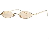 COASION Vintage Small Oval Aesthetic Sunglasses Retro for Women Men Hippie Cool Metal Frame Sun Glasses