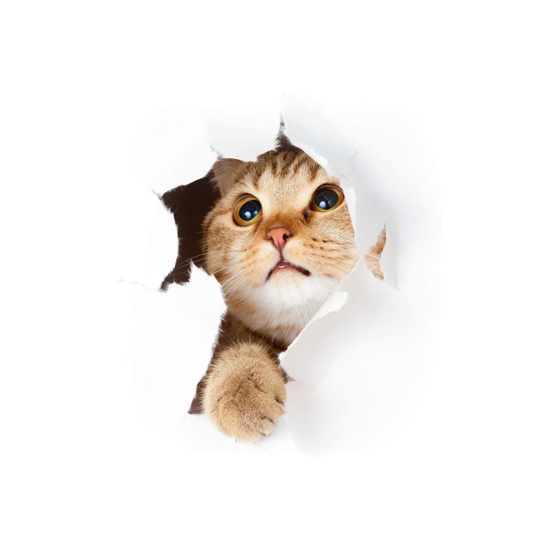 Sticker 3D Effect |Wall Decal Kitty – Wall Paper Decoration Optical Illusion Room and Kitchen - 25 x 20 cm