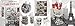 EVIDECO 6500417 Cafe Paris Printed Bathroom Floor Trash Can Waste Bin 4.5-liters/1.2-gal