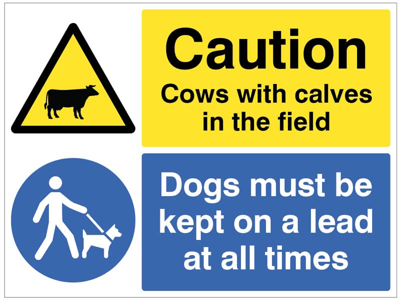 Warning Cows with calves in field Dogs must be kept on a lead (semi rigid pvc safety sign)