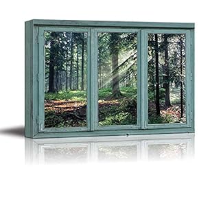 Streaks of Sun Weave Through Branches in a Forest clearing - Canvas Art Home Art - 24x36 inches