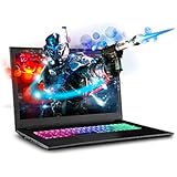 SAGER NP7871 17.3” FHD 144Hz Gaming Laptop, Intel Core i7-8750H, NVIDIA GTX 1060 6GB DDR5, 16GB RAM, 250GB M.2 SSD + 1TB HDD, Windows 10 Home