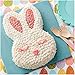 Wilton Non-Stick Easter Bunny Cake Baking and Decorating Set, 5-Piece