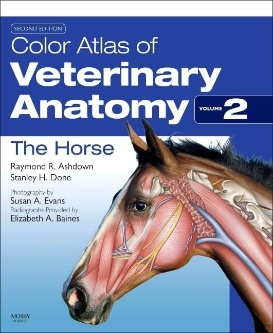 Stoller's Atlas of Orthopaedics and Sports Medicine: 9780781783897