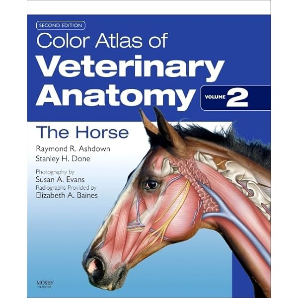 Small Animal Internal Medicine, Third Edition: 9780323017244