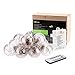 LE Battery Operated Globe String Light with 10 G45 LED Bulb, Portable Café Bistro Light with Remote, 10ft, 8 Mode, Warm White, Indoor Outdoor Bulb String Light for Patio, Pergola, Backyard and More