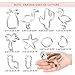 10 PCS Tropical Cookie Cutters Stainless Steel, Hawaiian Cutter Molds for Biscuit, Fondant, Fruit, Bread - Cactus, Llama, Flamingo, Palm Tree, Pineapple, Starfish, Sea Shell