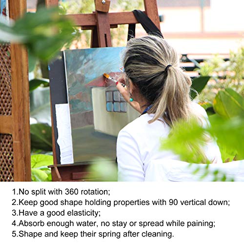 Miniature Paint Brushes - 15 pcs Acrylic Paint Brush Set for Fine Detailing, Different Sizes Paint Brushes for Acrylic Watercolor Oil Gouache Paint - Free Holder and Travel Bag