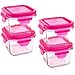 Wean Green Snack Cubes Leak-Proof Tempered Glass Food 7 Ounce Containers, Raspberry, Set of 4