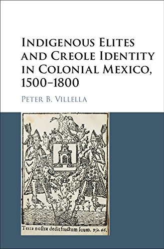 Indigenous Elites and Creole Identity in Colonial Mexico, 1500-1800 (Cambridge Latin American Studies)