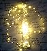 Qualizzi Fairy Lights (33Ft/100LEDs) - Warm White Stylish Led Copper Wire Starry String Lights w/Remote Control. Give a Chic Accent to Your Home or Patio Decorations (Small)