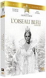 l'oiseau bleu