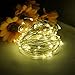 YINUO LIGHT Copper Wire Lights Decorative Led Lights USB Operated 100 LED 33ft Warm White Rope Lights Waterproof Fairy String Lights for Home