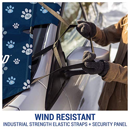 2 FrostGuard+Premium+Windshield+Security+Protects