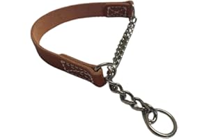 Joel Silverman's Patented Alternative Training Collar (Medium II) - Alternative to a Martingale and Pinch Collar!