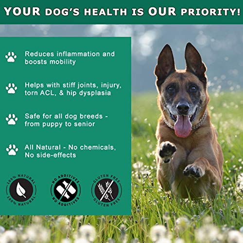 WALK-EASY Hip and Joint Supplement for Dogs and Cats; Advanced Anti-inflammatory Support and Arthritis Pain Relief Pills | Natural, Chemical-free and Easy To Give Your Pet - 2 Pack