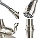CLOFY Lead Free Kitchen Faucet with Pull Down Sprayer, Commercial Single Handle High Arc Kitchen Sink Faucet Brushed Nickel Pull Down Kitchen Faucet, Anti-Fingerprint Faucets