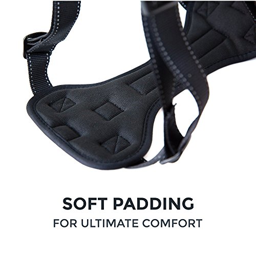 Mighty Paw Dog Car Harness - Vehicle Safety Gear - 2 Leash Attachment - Adjustable Straps - Reflective Stitching - Soft Padding - Standard Harness Functionality - No Pull Front Leash Attachment - L