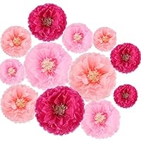 Paper Flowers Decorations,12 Pcs Tissue Paper Flower DIY Crafting for Wedding Backdrop Nursery Wall Baby Shower Decoration,Rose