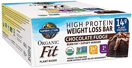 Garden Of Life Organic Fit Bar Chocolate Fudge 12 Per Carton Amazon Sg Health Personal Care