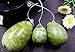 Belletime Kegel Balls Yoni Egg Ben Wa Ball For Women Exercise Handmade Jade Egg