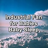 Brown Noise Incubator