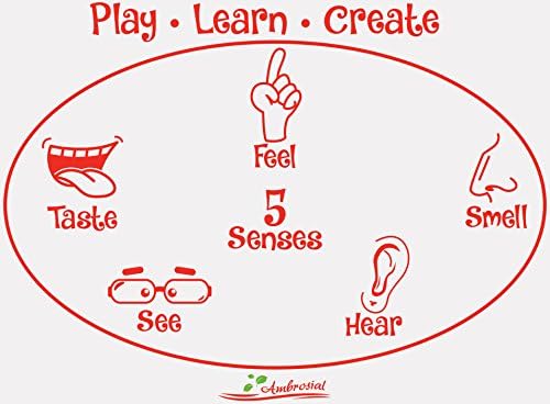 Silicone Sensory Development Activity Mat...Play, Learn, Create