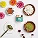 Matcha Obsessed - All Natural Organic Matcha Green Tea Clay Mask, Gentle Exfoliation with Moisturizing Coconut, Reduce Acne, Great for All Skin Type, 2 fl oz