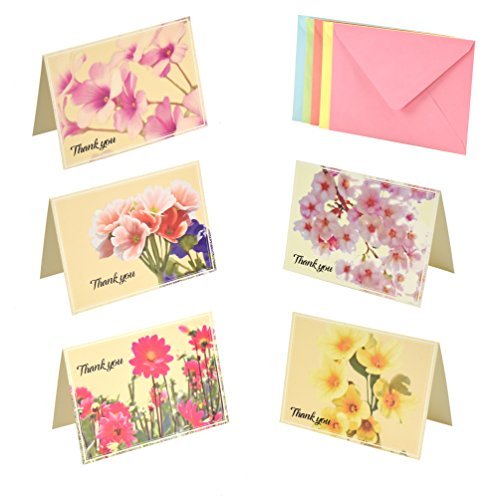Thank You Cards Set - 50 Cards 50 Colored Envelopes, 5 ...